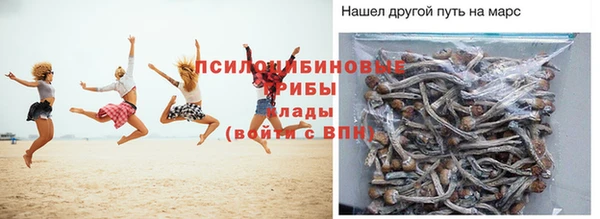 apvp Алексин