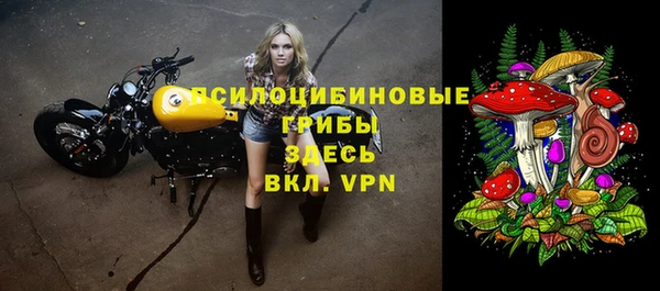 ПСИЛОЦИБИНОВЫЕ ГРИБЫ Алзамай
