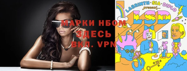 ПСИЛОЦИБИНОВЫЕ ГРИБЫ Алзамай