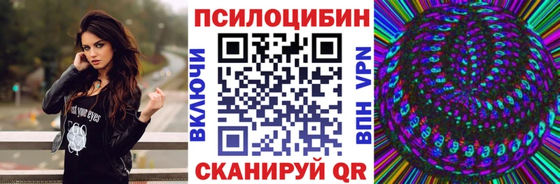 как найти   Нефтекамск  МЕГА ТОР  Галлюциногенные грибы мицелий 