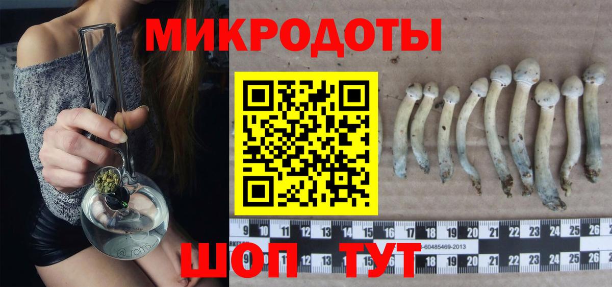 купить закладку  Псилоцибиновые грибы мицелий  Вход с VPN  Нефтекамск  Галлюциногенные грибы мухоморы 