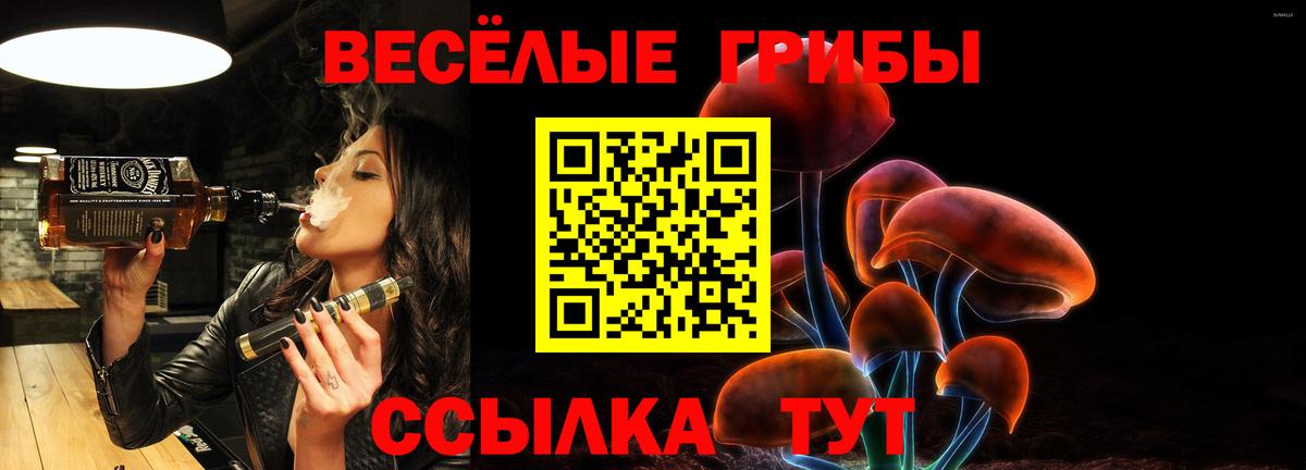 Галлюциногенные грибы Psilocybine cubensis Нефтекамск